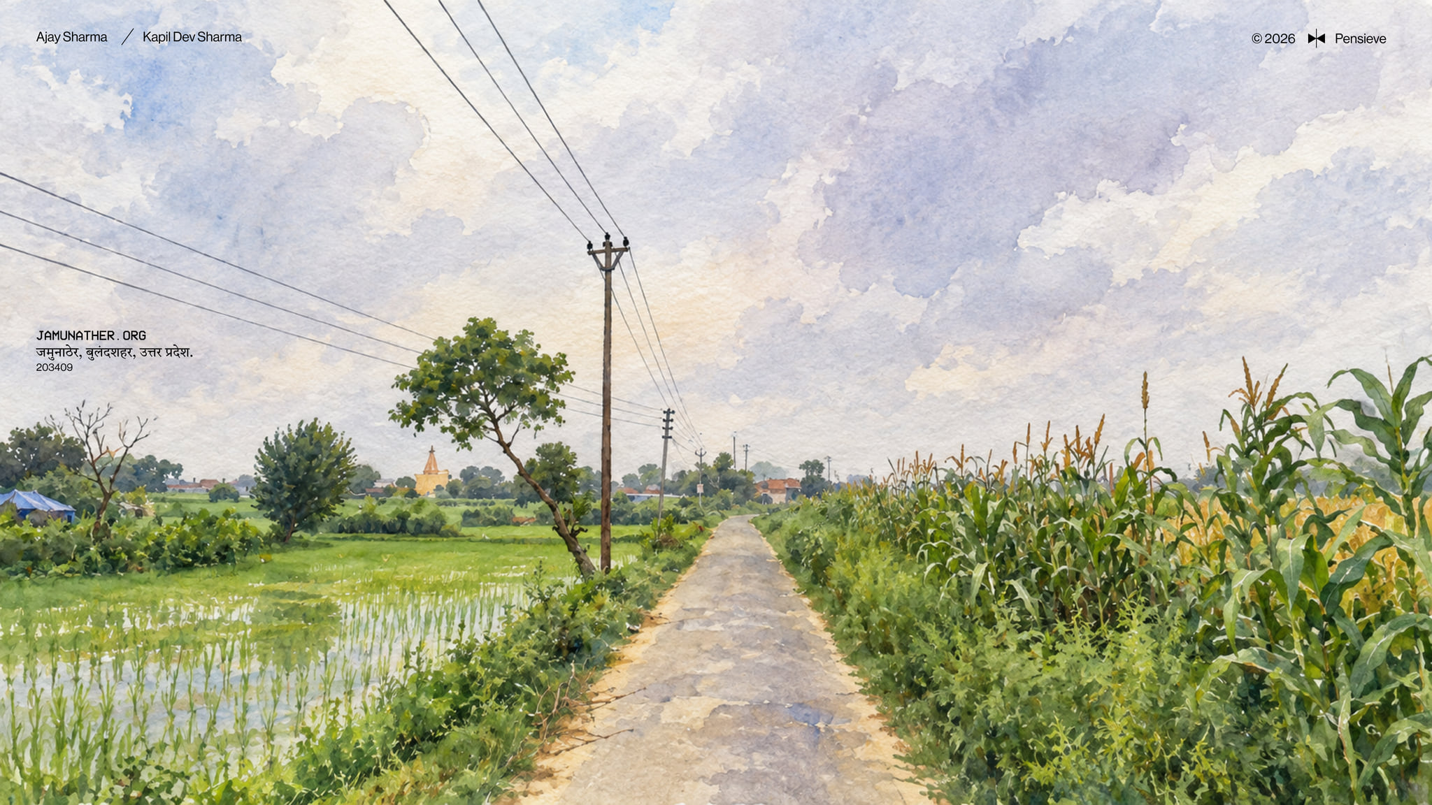 Watercolour of a narrow metalled lane in Jamunather running between a flooded paddy nursery and tall standing maize, with a leaning power pole and a distant temple